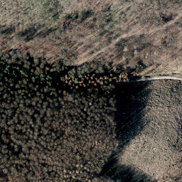 Satellite imagery of Scheelenberg, DE