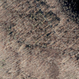 Satellite imagery of Scheelenberg, DE