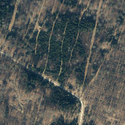 Satellite imagery of Lindruthe, DE