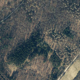 Satellite imagery of Rickfurth, DE