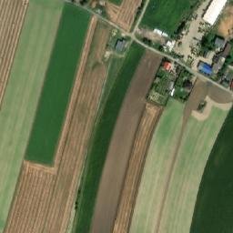 Satellite imagery of Rojęczyn - Pałac, PL