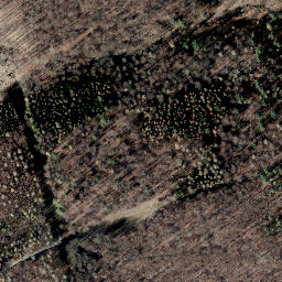 Satellite imagery of Escherberg, DE