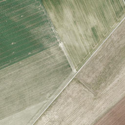 Satellite imagery of Schüttberg, DE
