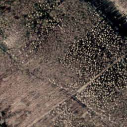 Satellite imagery of Scheelenberg, DE