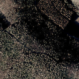 Satellite imagery of Scheelenberg, DE