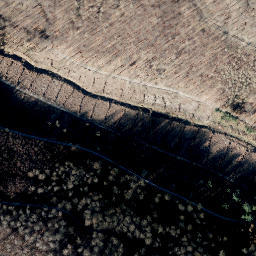 Satellite imagery of Scheelenberg, DE