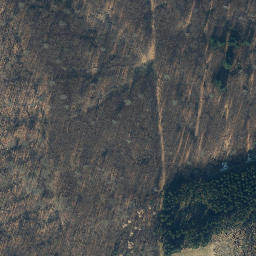 Satellite imagery of Großer Lauenberg, DE