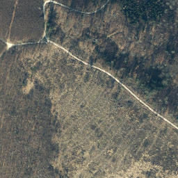 Satellite imagery of Ducksteinberg, DE