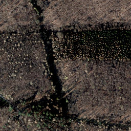 Satellite imagery of Escherberg, DE