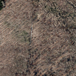 Satellite imagery of Scheelenberg, DE