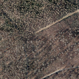 Satellite imagery of Scheelenberg, DE