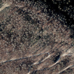 Satellite imagery of Scheelenberg, DE