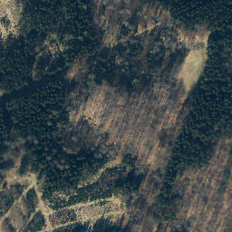 Satellite imagery of Rickfurth, DE