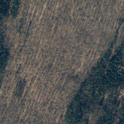 Satellite imagery of Rickfurth, DE