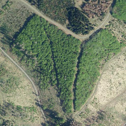 Satellite imagery of Rischkopf, DE
