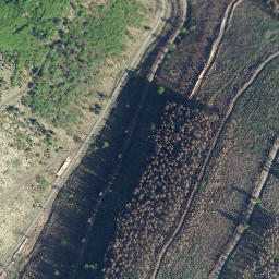 Satellite imagery of Rischkopf, DE