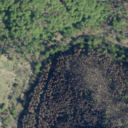 Satellite imagery of Stumpferstein, DE