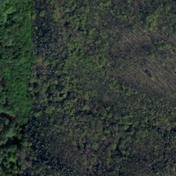 Satellite imagery of Münchenberg, DE