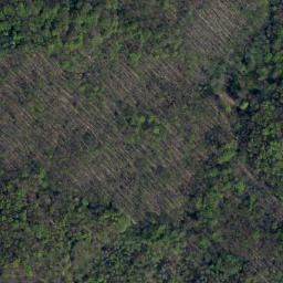 Satellite imagery of Münchenberg, DE