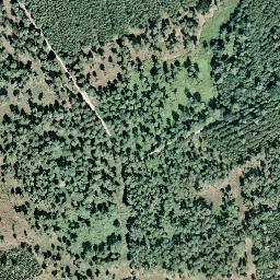Satellite imagery of Wolfsberg, DE