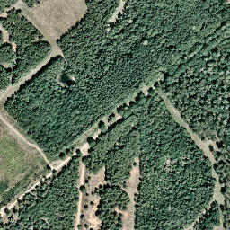 Satellite imagery of Wolfsberg, DE