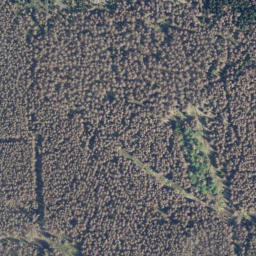 Satellite imagery of Seilerklippe, DE