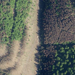 Satellite imagery of Großer Wurzelnberg, DE
