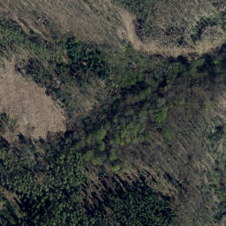 Satellite imagery of Saalstein, DE