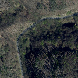 Satellite imagery of Saalstein, DE