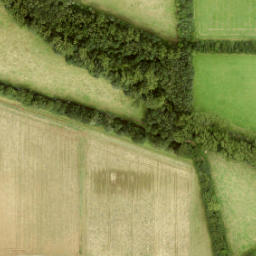 Satellite imagery of Tongelaar, NL