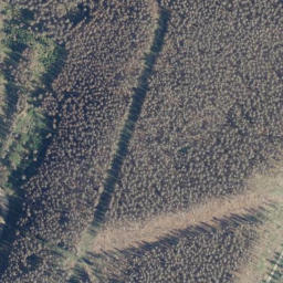 Satellite imagery of Kleiner Mittelberg, DE