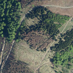 Satellite imagery of Großer Wurzelnberg, DE
