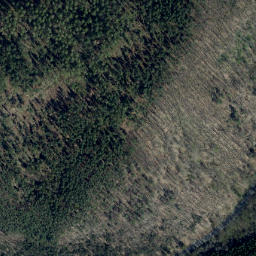 Satellite imagery of Saalstein, DE