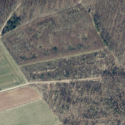 Satellite imagery of Bauernberg, DE