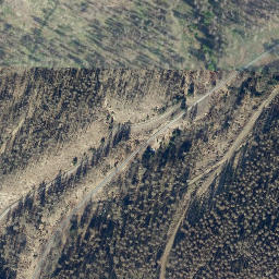 Satellite imagery of Kleiner Mittelberg, DE