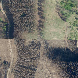 Satellite imagery of Großer Wurzelnberg, DE