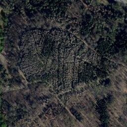 Satellite imagery of Saalstein, DE