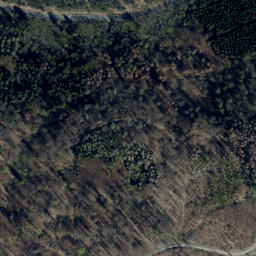 Satellite imagery of Saalstein, DE