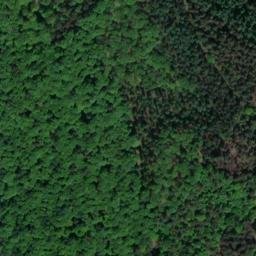 Satellite imagery of Finkenberg, DE