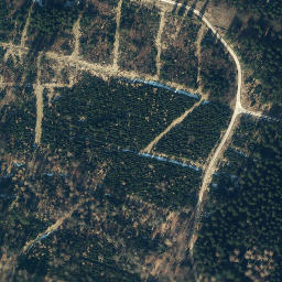 Satellite imagery of Großer Steinberg, DE