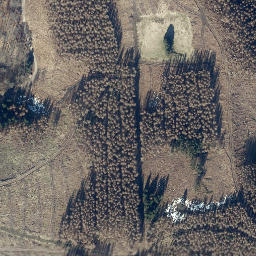 Satellite imagery of Königsberg, DE
