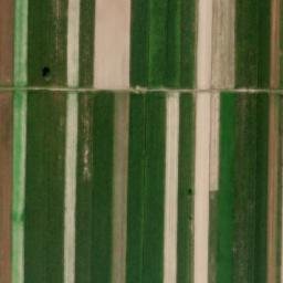 Satellite imagery of Rossoszyca -Pałac XIX w., PL