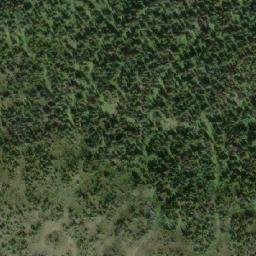 Satellite imagery of Grizzly Mountain, CA