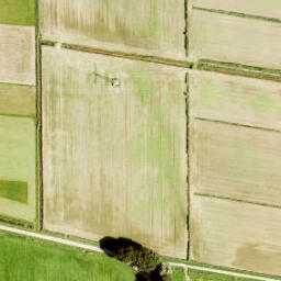 Satellite imagery of Zuidewijn, NL