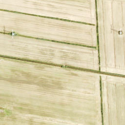 Satellite imagery of Zuidewijn, NL