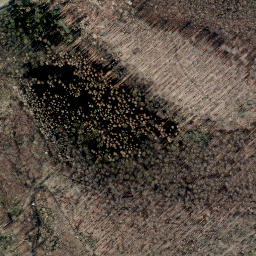 Satellite imagery of Bellerburg, DE