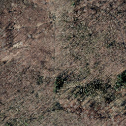 Satellite imagery of Bellerburg, DE