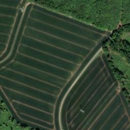 Satellite imagery of Büchenberg, DE