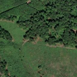 Satellite imagery of Büchenberg, DE