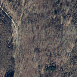 Satellite imagery of Großer Mittelberg, DE